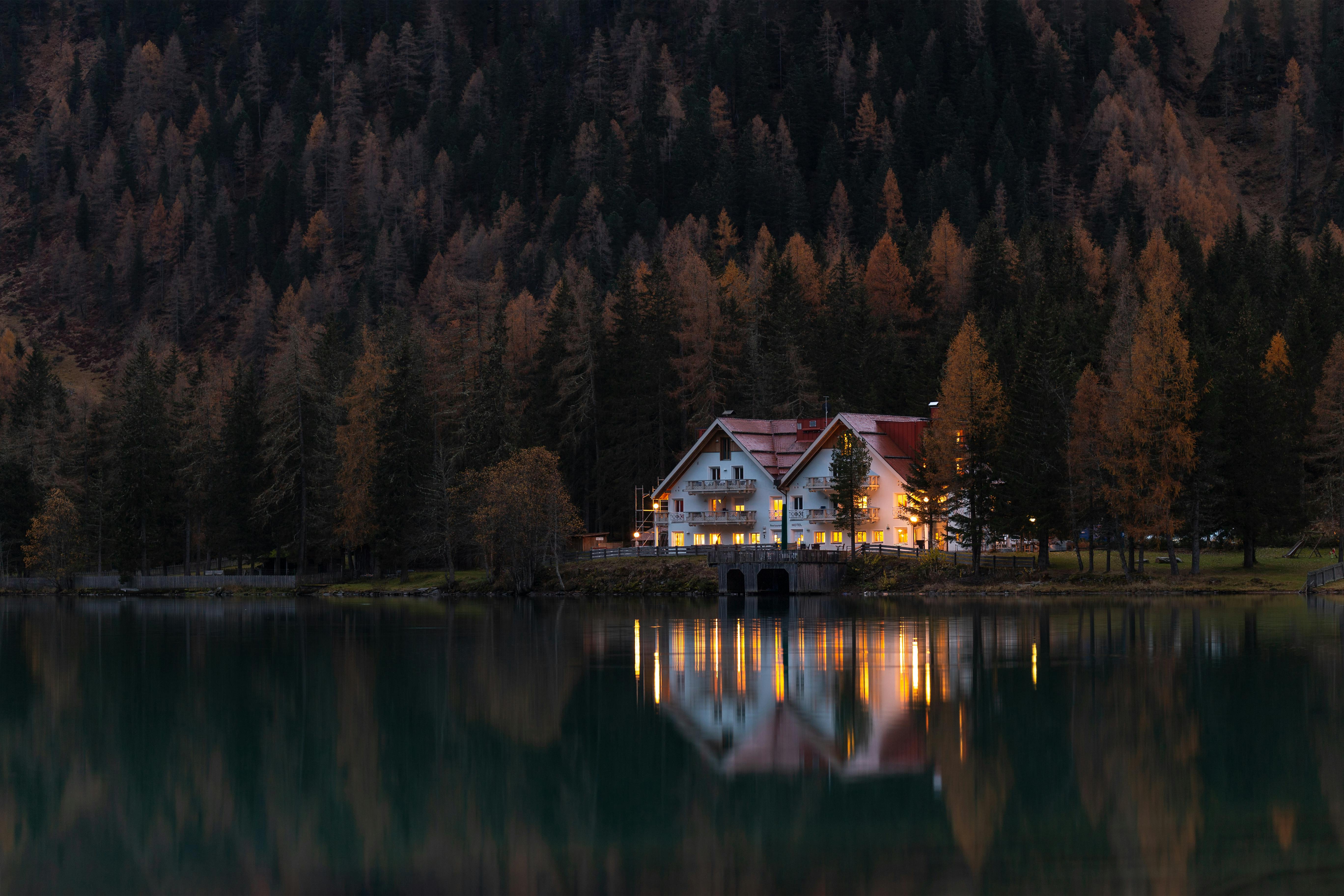 Understanding Tree Law And When To Contact A Property Lawyer
