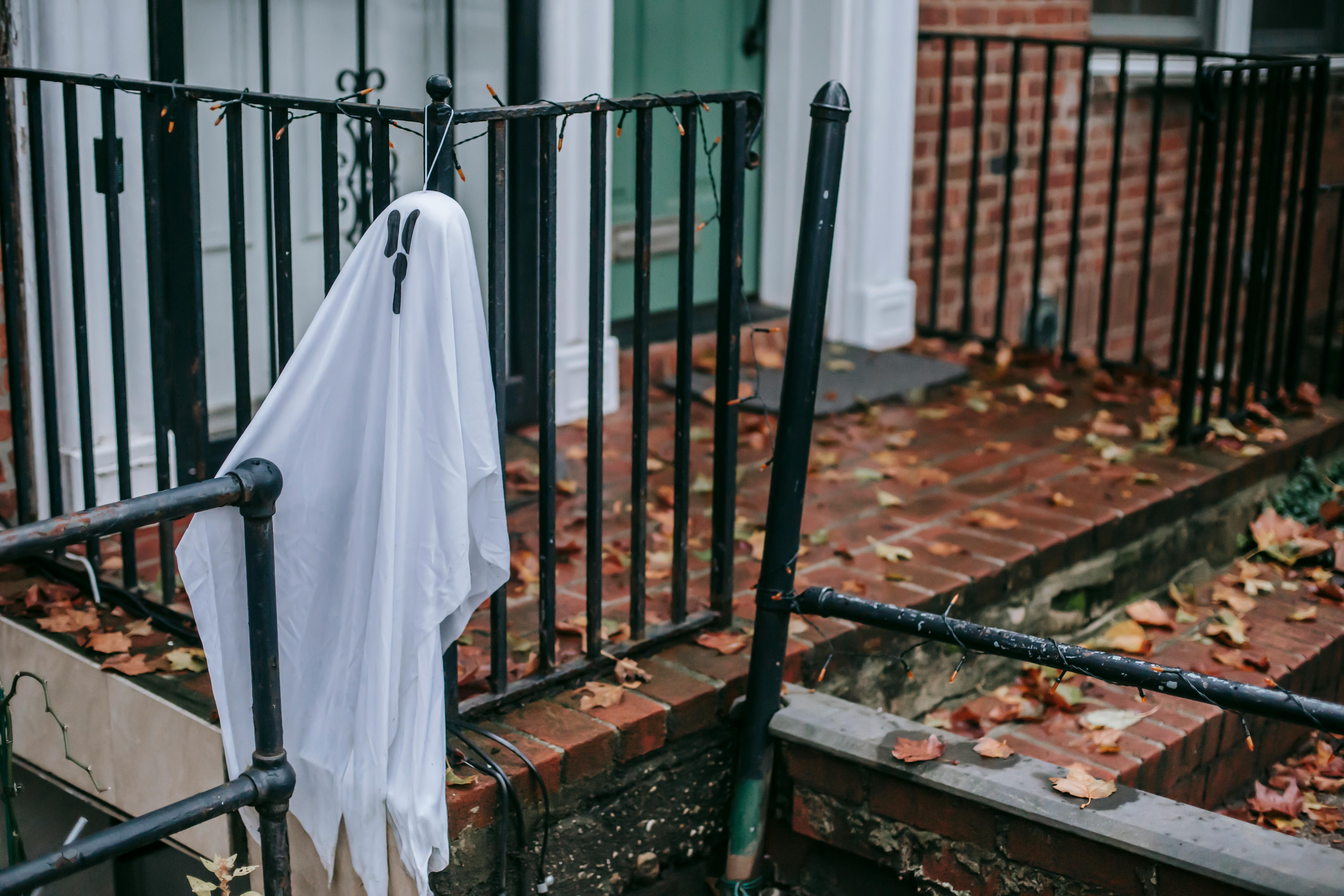 Phrogging: Strangers Living Inside Occupied Dwellings