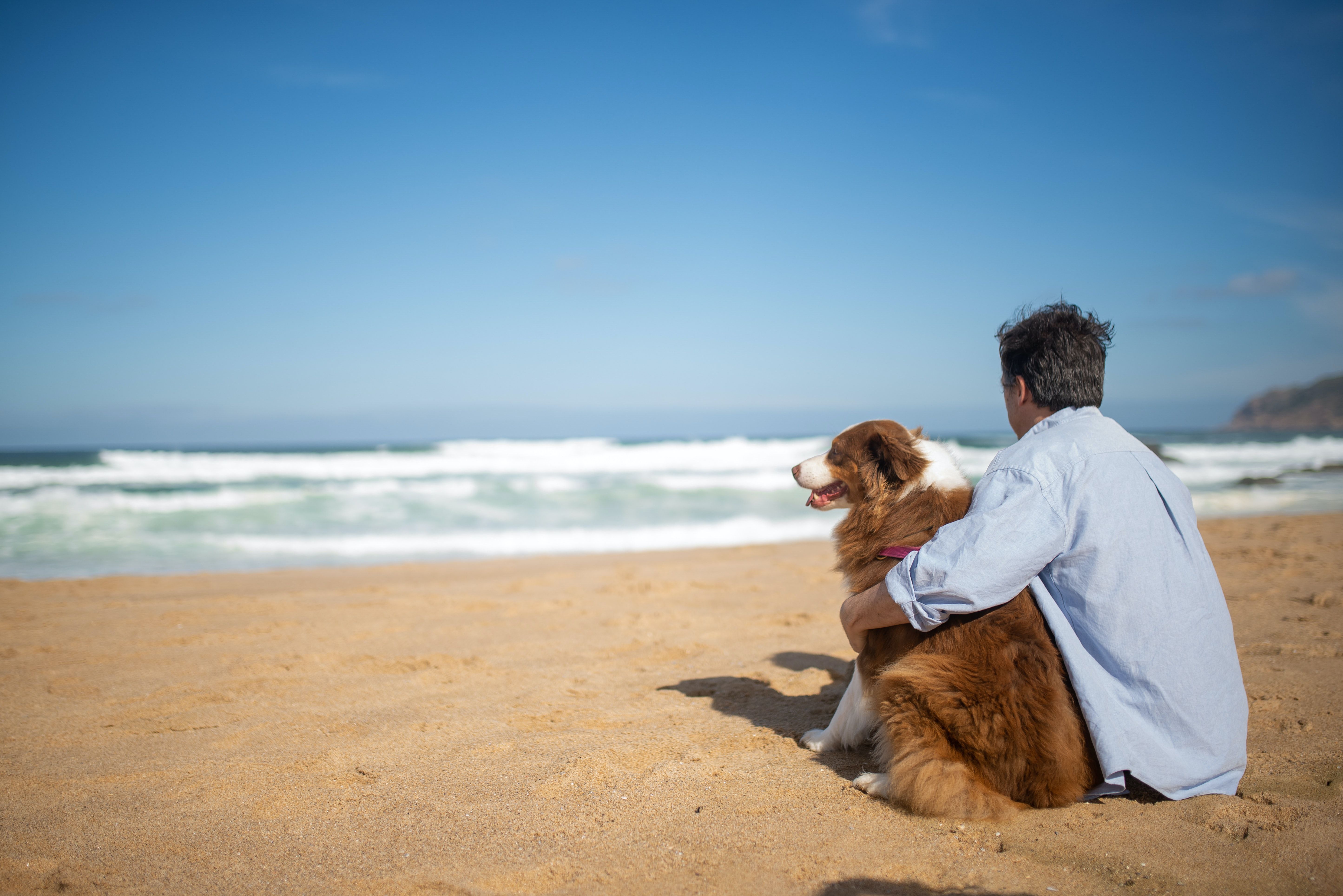 Can I Include My Pets in my Estate Plans?