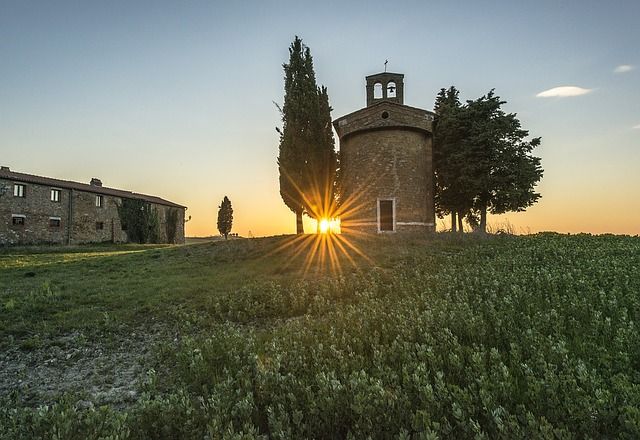 sunrise field