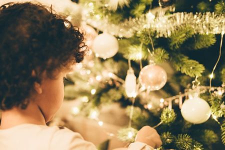 Kid and tree
